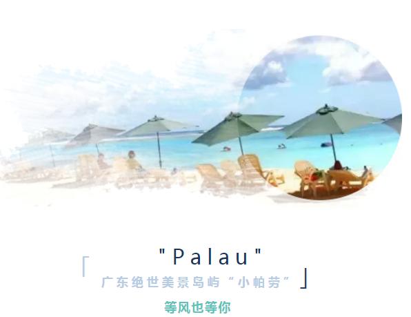 广东小帕劳,下川岛小帕劳