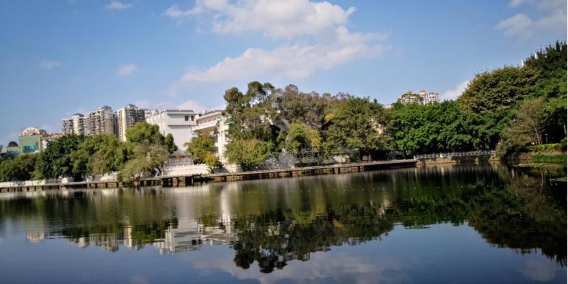 惠州一中传奇,惠州一中榕耀之星