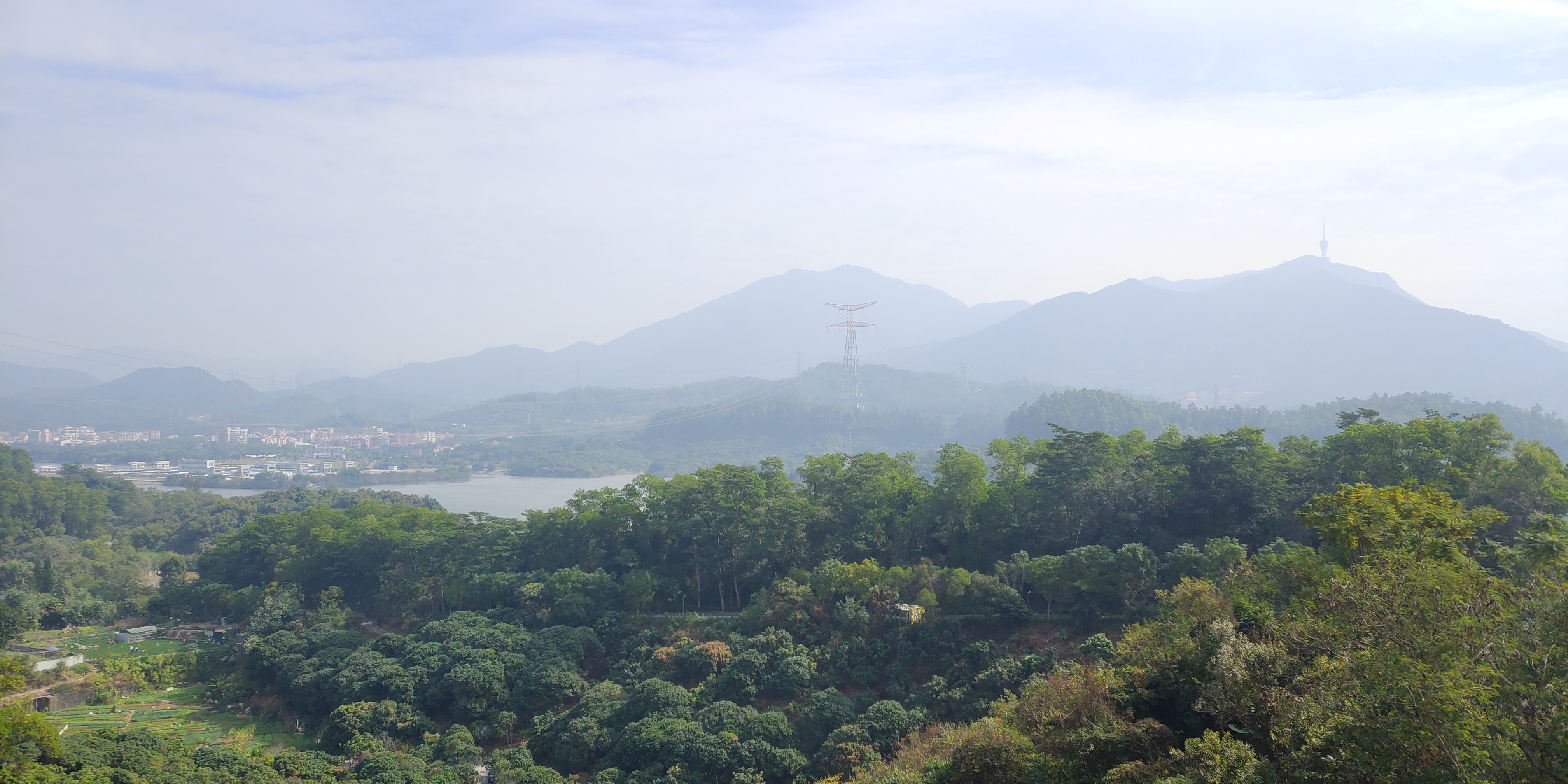 深圳罗湖绿道淘金山绿道攻略,深圳梧桐山绿道徒步攻略