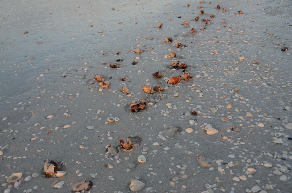 老师问你心里该怎么想,老师说你坏话该怎么办