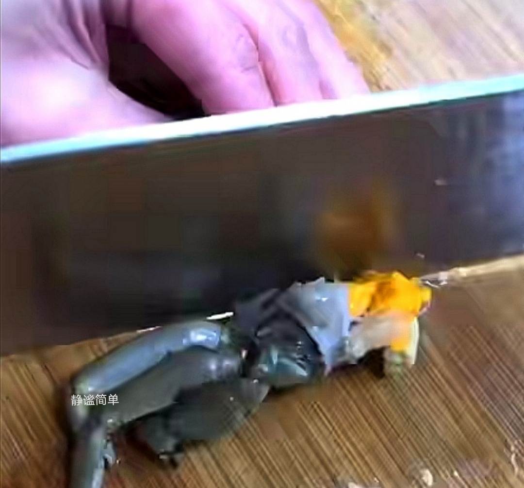 潮汕豆酱焗蟹做法,潮汕普宁豆酱焗虾