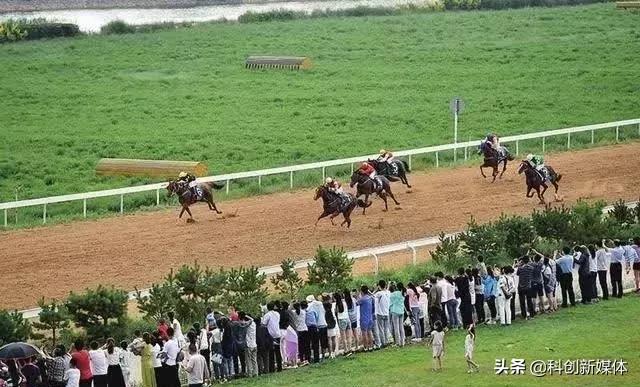 二青会震撼,二青会灯光秀在哪里