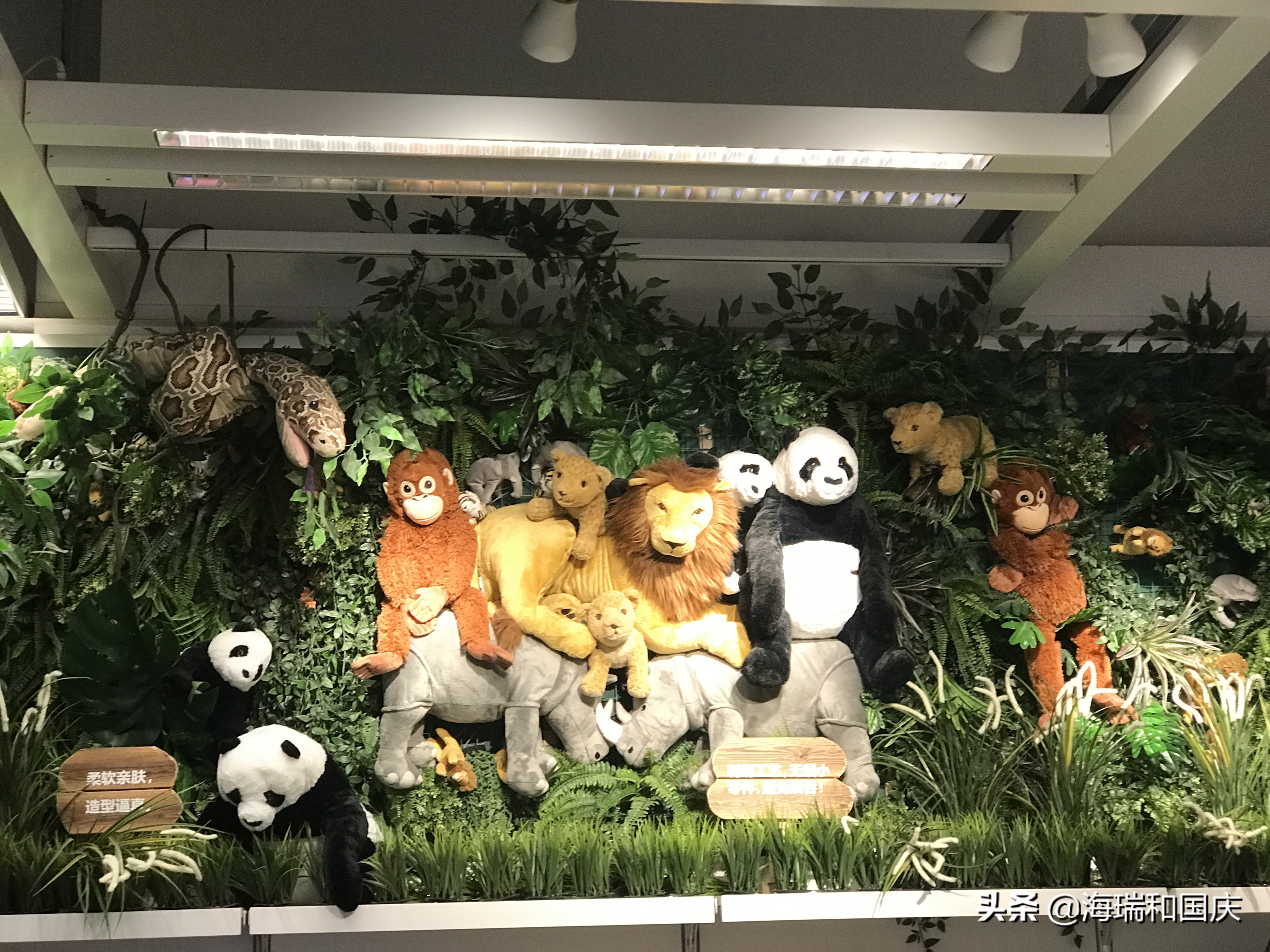 济南宜家附近有什么好玩的吗,济南宜家游玩