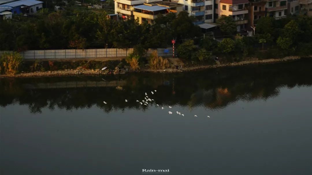 广州地铁22号线离增城距离多远,增城地铁21号线增城广场站