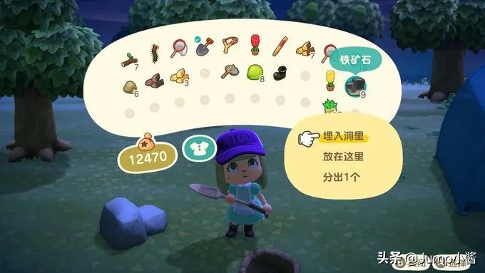 动森上岛前攻略,动森前期去无人岛带什么回来