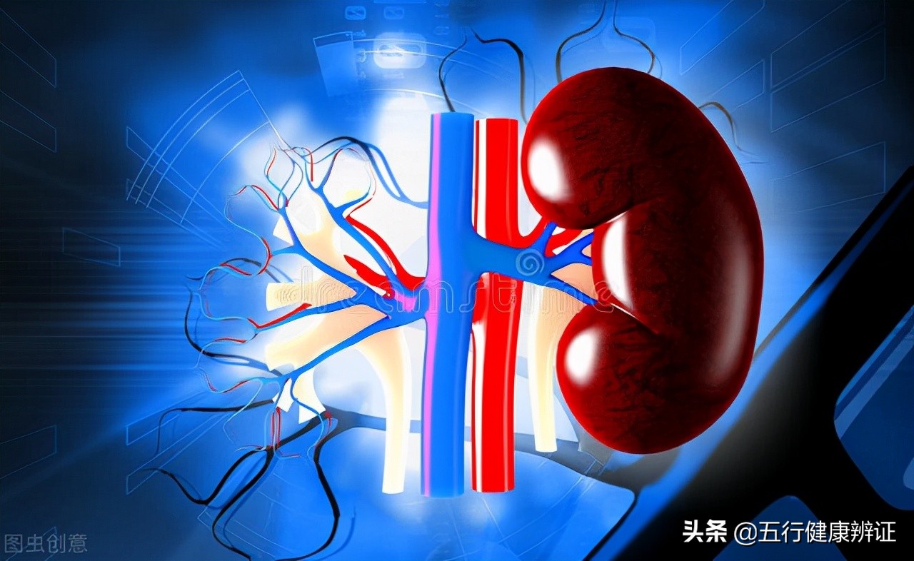 中医说脾虚肾虚食疗养生,脾虚多思肾虚多欲是什么意思呢