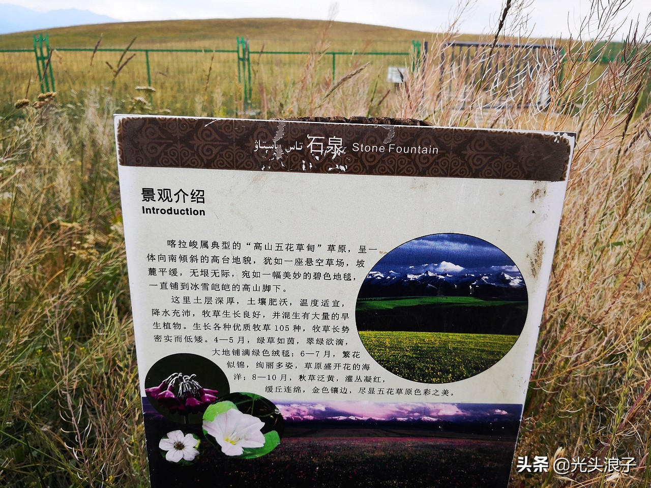 走进大自然观赏大自然的美丽风光,喀拉峻大草原风景太迷人