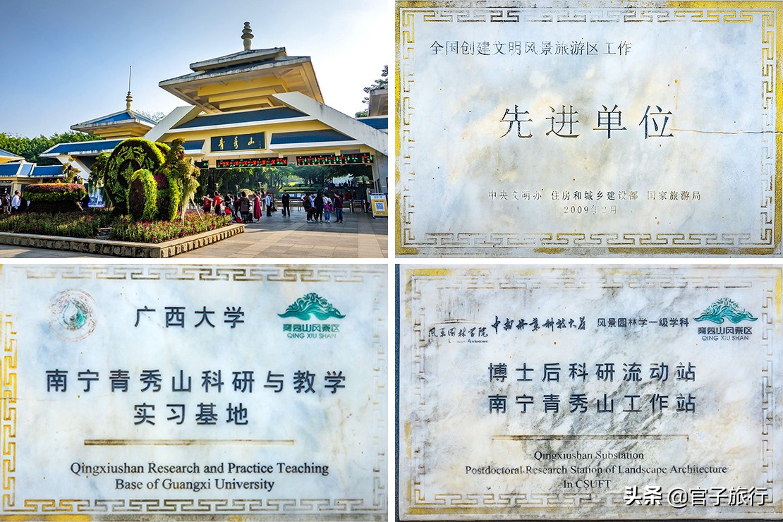 先有苏铁王后有南宁城，它是恐龙的美食植物界活化石，堪称国宝