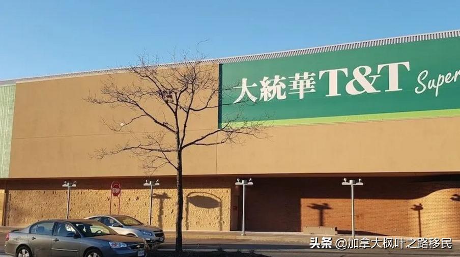 加拿大新移民如何选择温哥华和多伦多？你更喜欢哪个呢