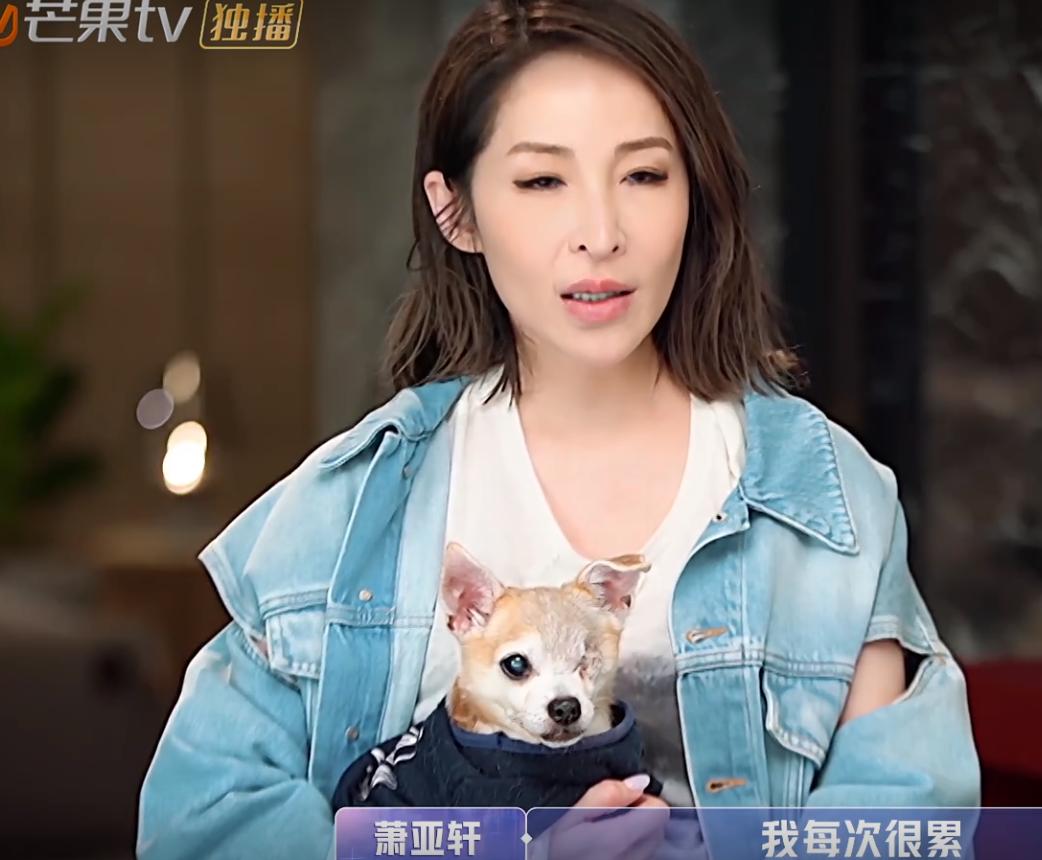 吉娃娃一只眼睛凸,吉娃娃一只眼睛白膜