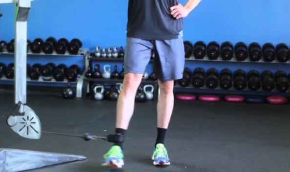 韬珮184瓒呯編涓界殑瓒呮ā,184瀹岀編韬珮