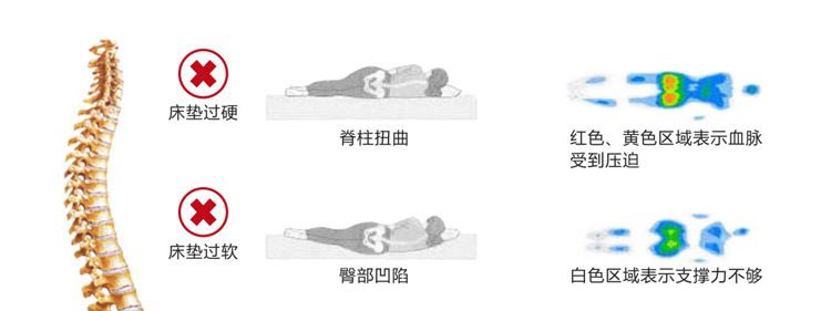 什么样的乳胶床垫最好,怎么样的乳胶床垫才是好的