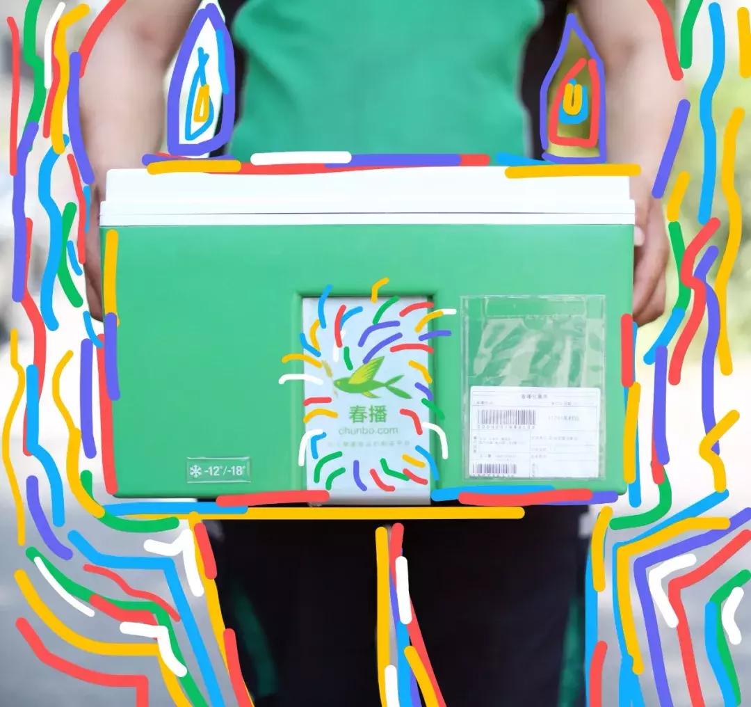 在大自然当中寻找有机蔬菜,为大家采摘绝对新鲜的有机蔬菜