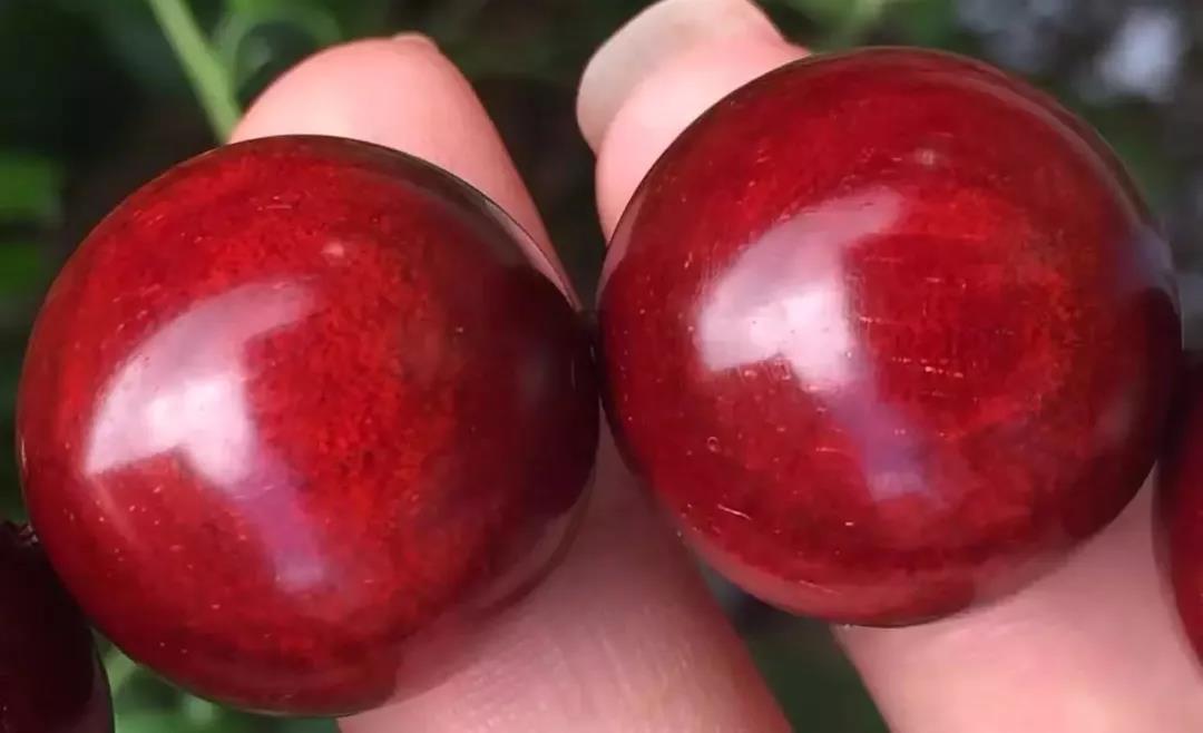 小叶紫檀手串抛光好不好,小叶紫檀抛光了还值钱吗