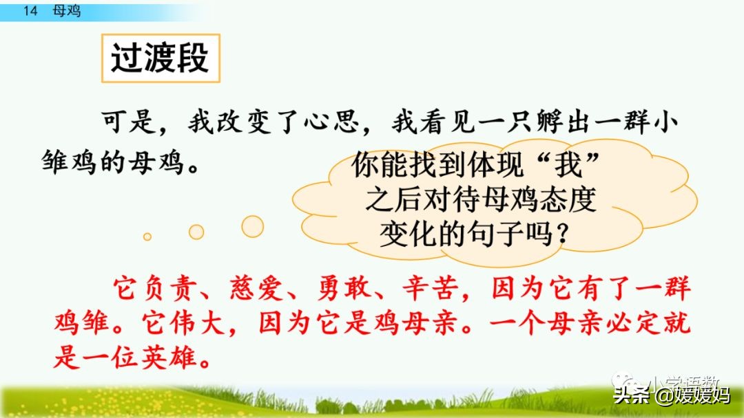 四年级下册第13课小练笔仿写母鸡,四年级下册14课母鸡的预习完整版