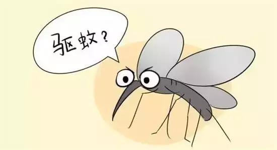 温州蚊子怎么这么多,蚊子警报