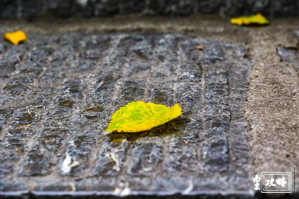 燕子矶公园讲解,燕子矶公园在哪里啊