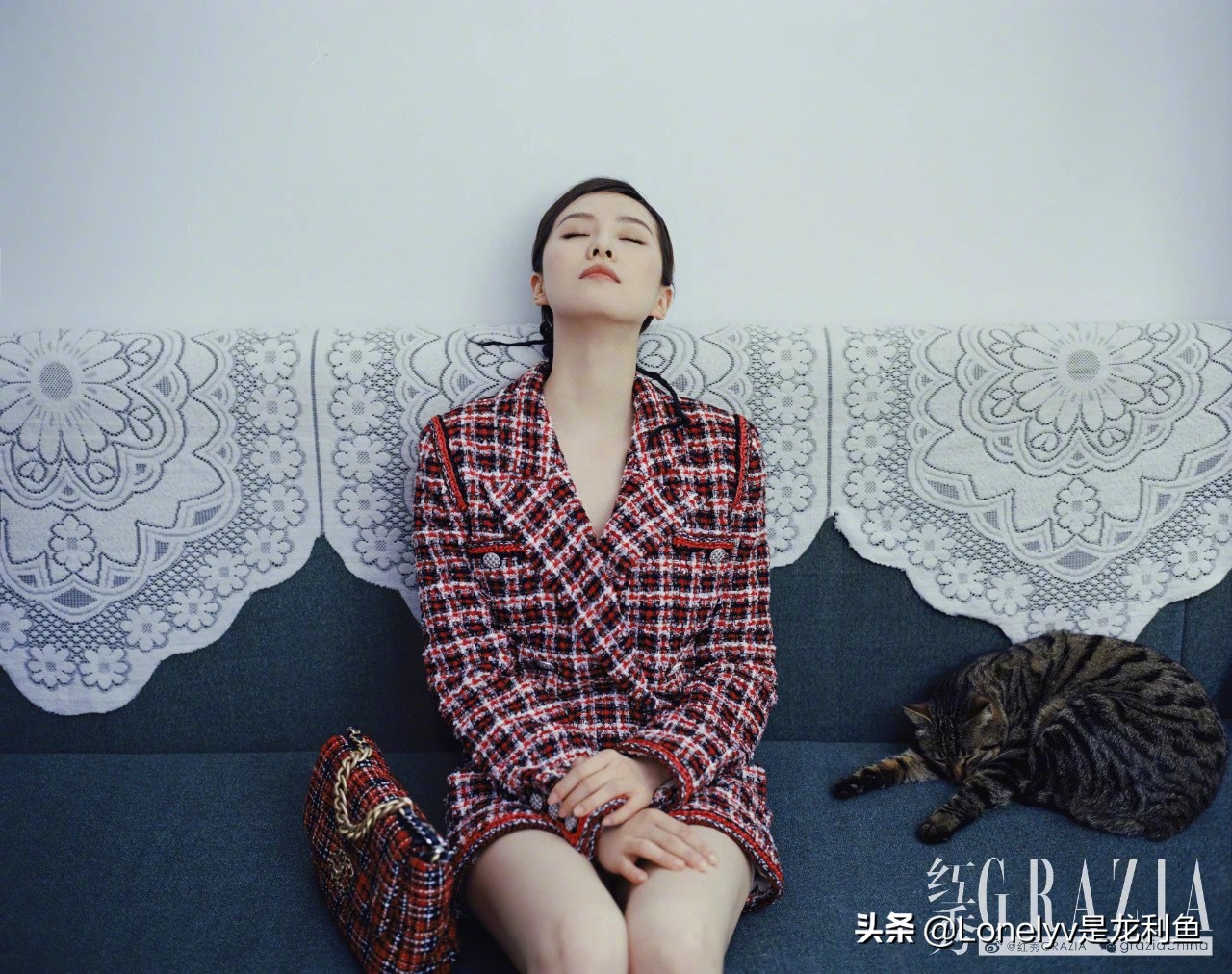 亦舒石榴图,亦舒的石榴图