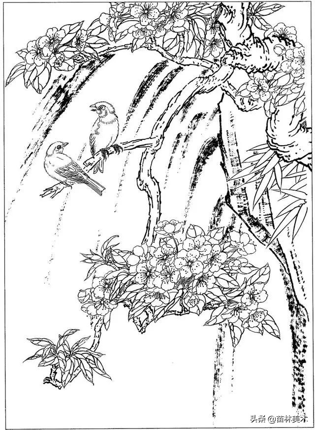 现代国画工笔花鸟白描及完整版,路雨年工笔白描花鸟团扇高清图片