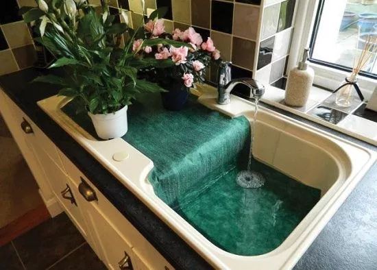 离家久如何给花浇水,离家时间比较久花儿怎么浇水