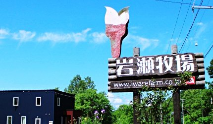 旭川机场,旭川机场到东京机场