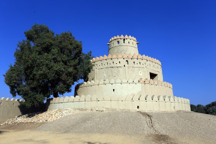 阿联酋第一位总统扎伊德阿布扎比,阿联酋阿布扎比现任酋长