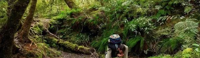 户外露营烧烤完整攻略,广州户外露营旅游攻略