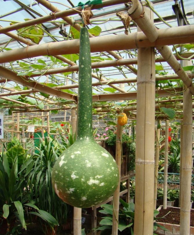 珠海市金湾区十大旅游景点,珠海市南水镇有哪些旅游景点