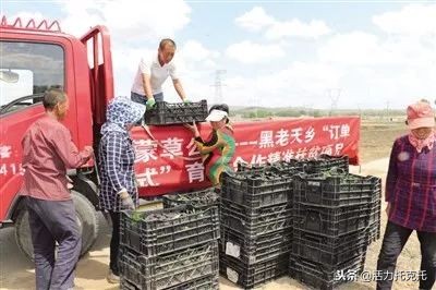 青城先锋,抓党建提士气助推脱贫攻坚