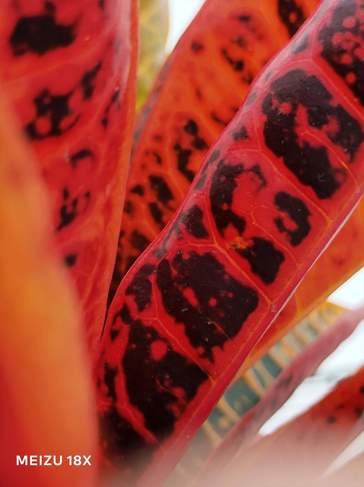 新机直屏次旗舰来了魅族18x官宣,魅族18x是家庭旗舰还是青年旗舰