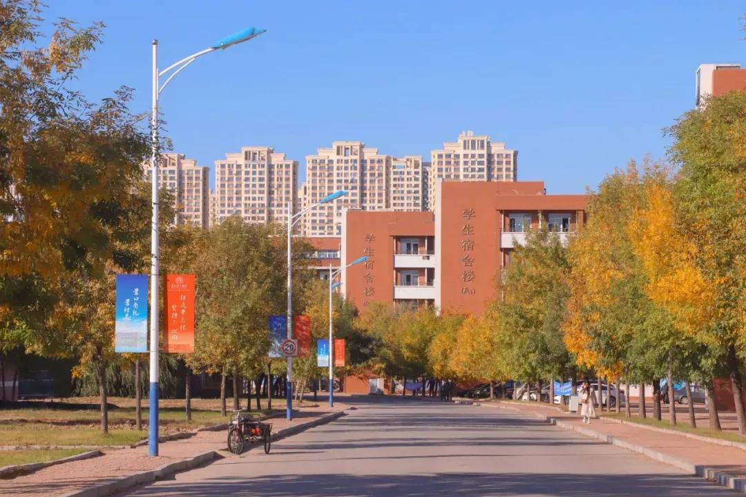 营口理工学院咋样,辽宁省公办高校营口理工学院