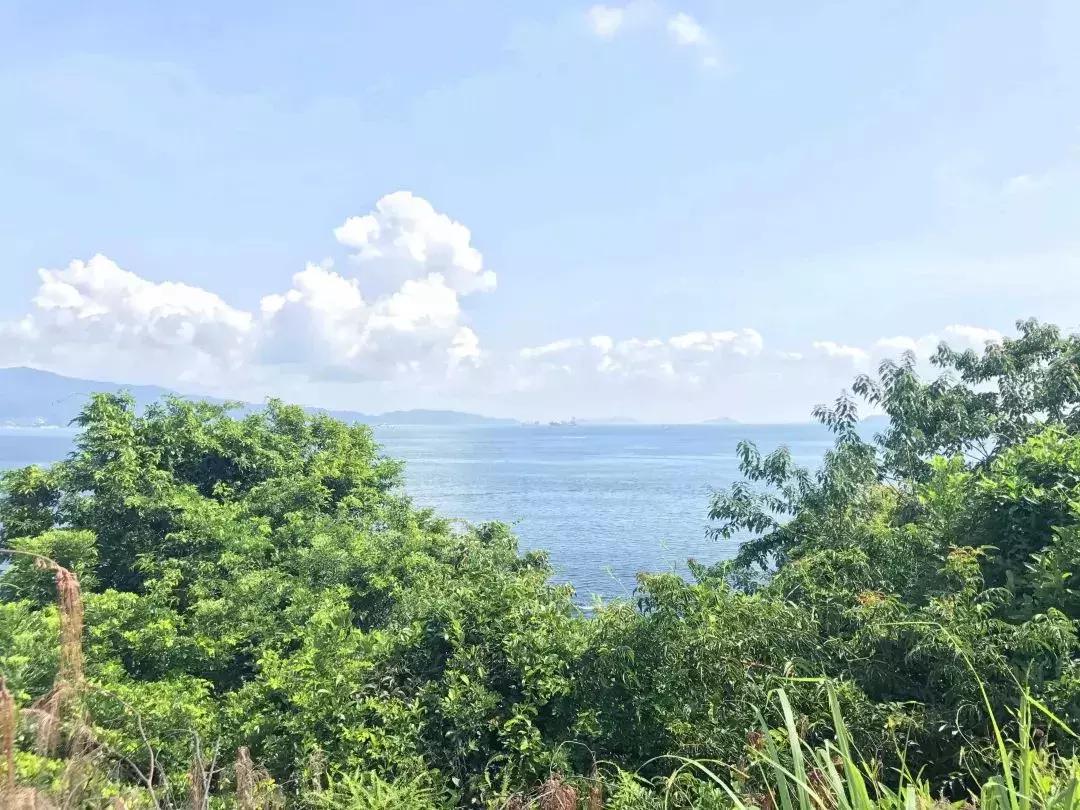 深圳最值得去的十大海滩,深圳最值得去的9个海滩