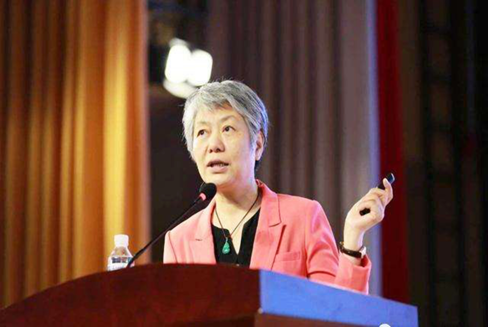 李玫瑾孩子无法适应社会,李玫瑾谈孩子背叛家庭的后果