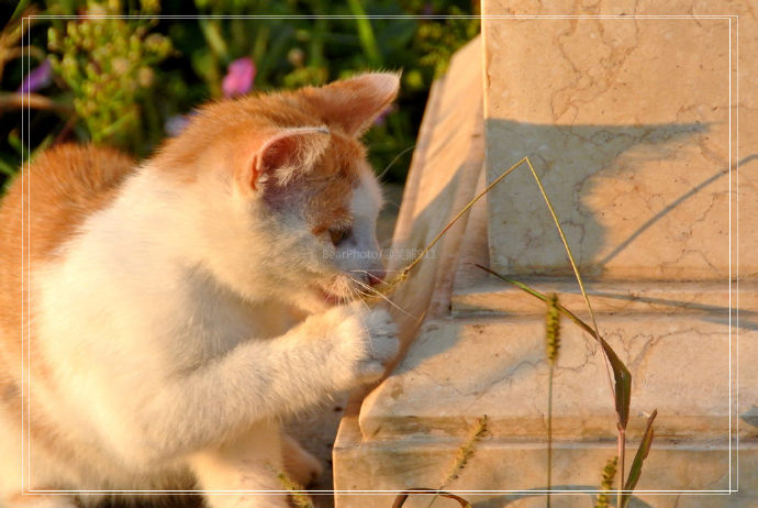 伏尔加的夏秋冬——哈尔滨的俄罗斯庄园