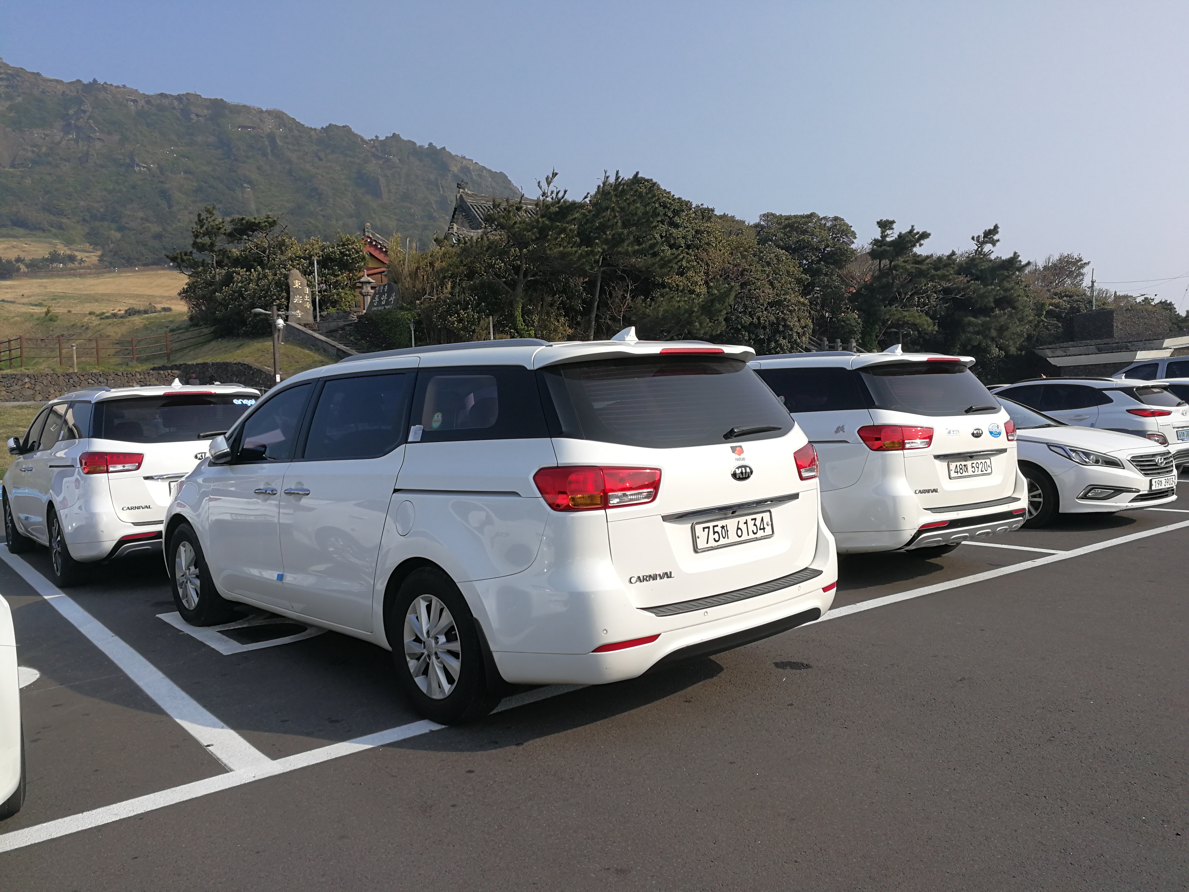 看一看济州岛上的汽车，你就明白韩国国民对本土汽车品牌的热爱