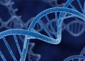 【呱呱教·114】【优生】二胎时代，高龄产妇增多，你需要了解染色体病