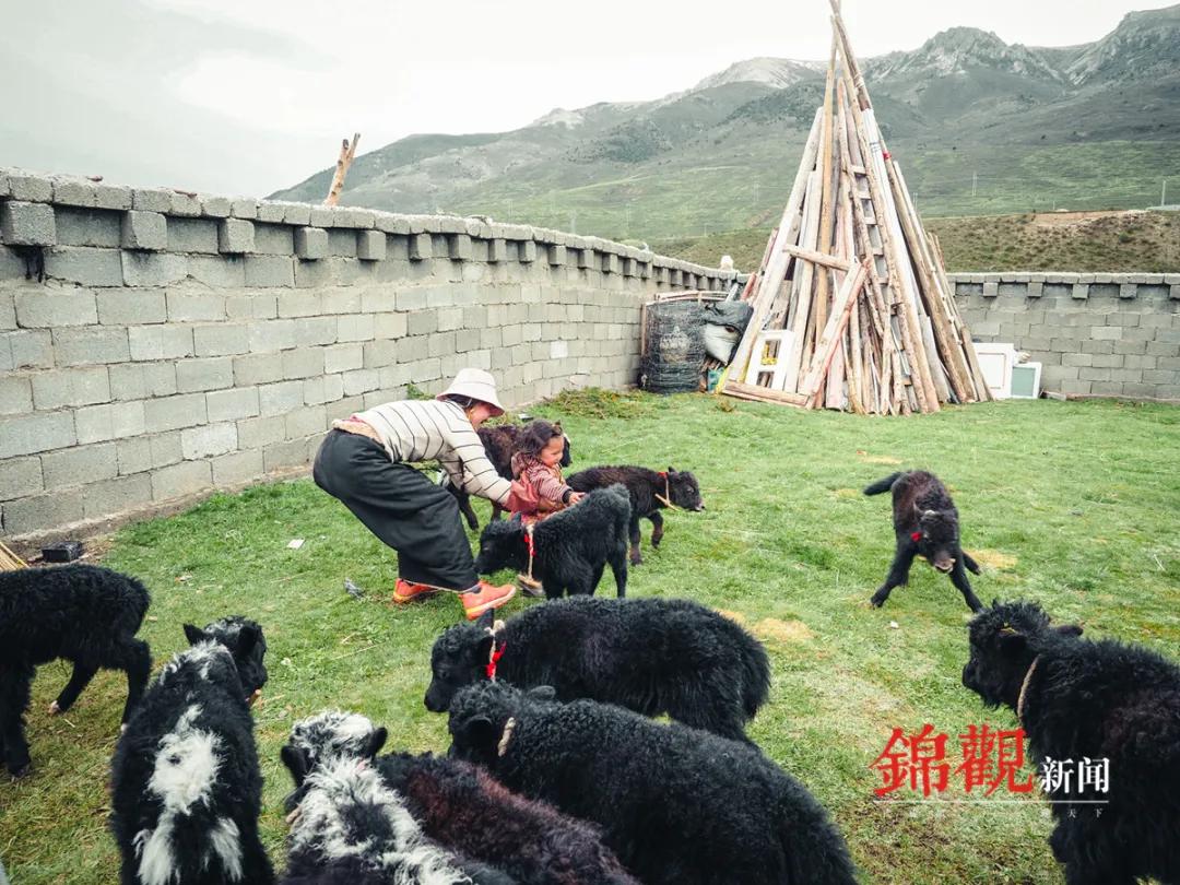 海拔4000米干工程,海拔4000米的施工队