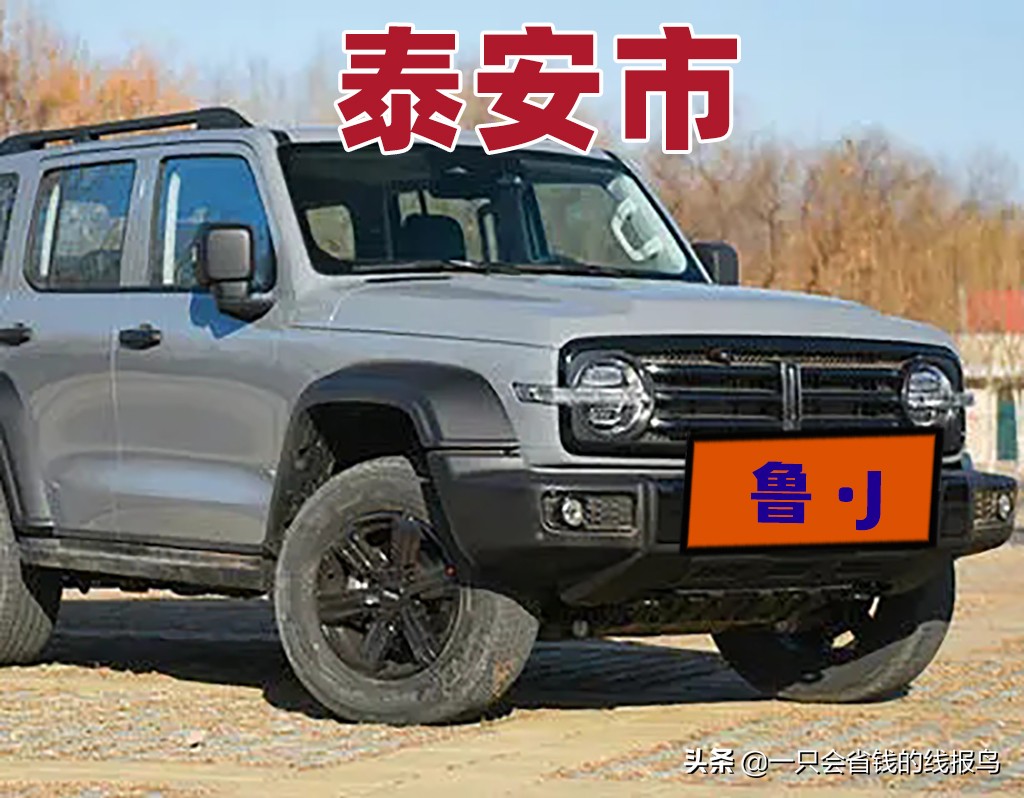 山东省汽车牌照字母排名规律,山东省车牌照排列顺序