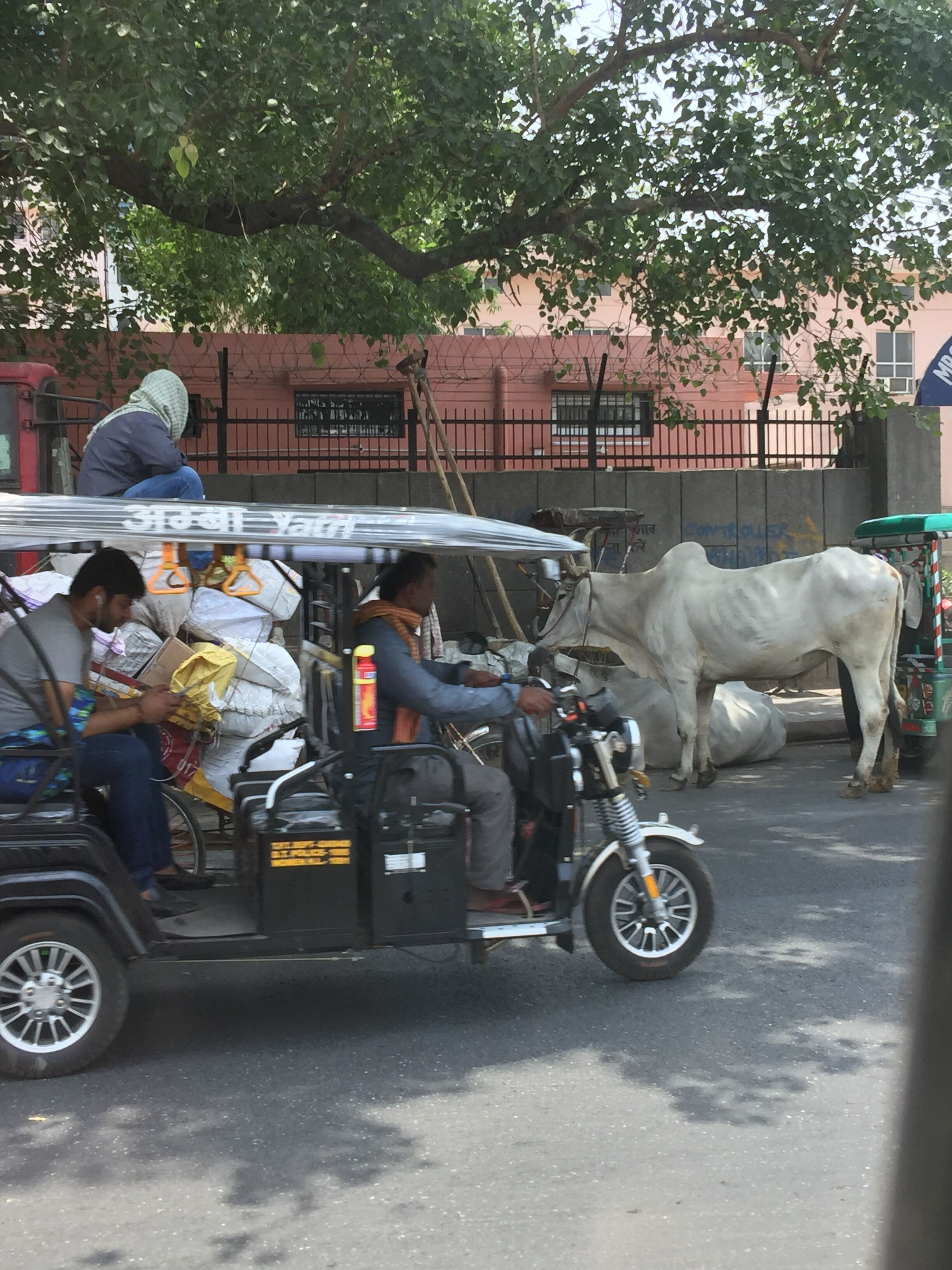 印度见闻大全,中国印度见闻录