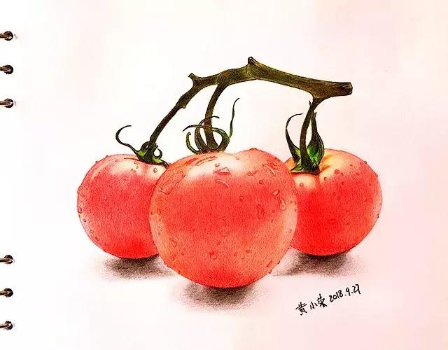 儿童彩铅画番茄,彩铅画写生番茄