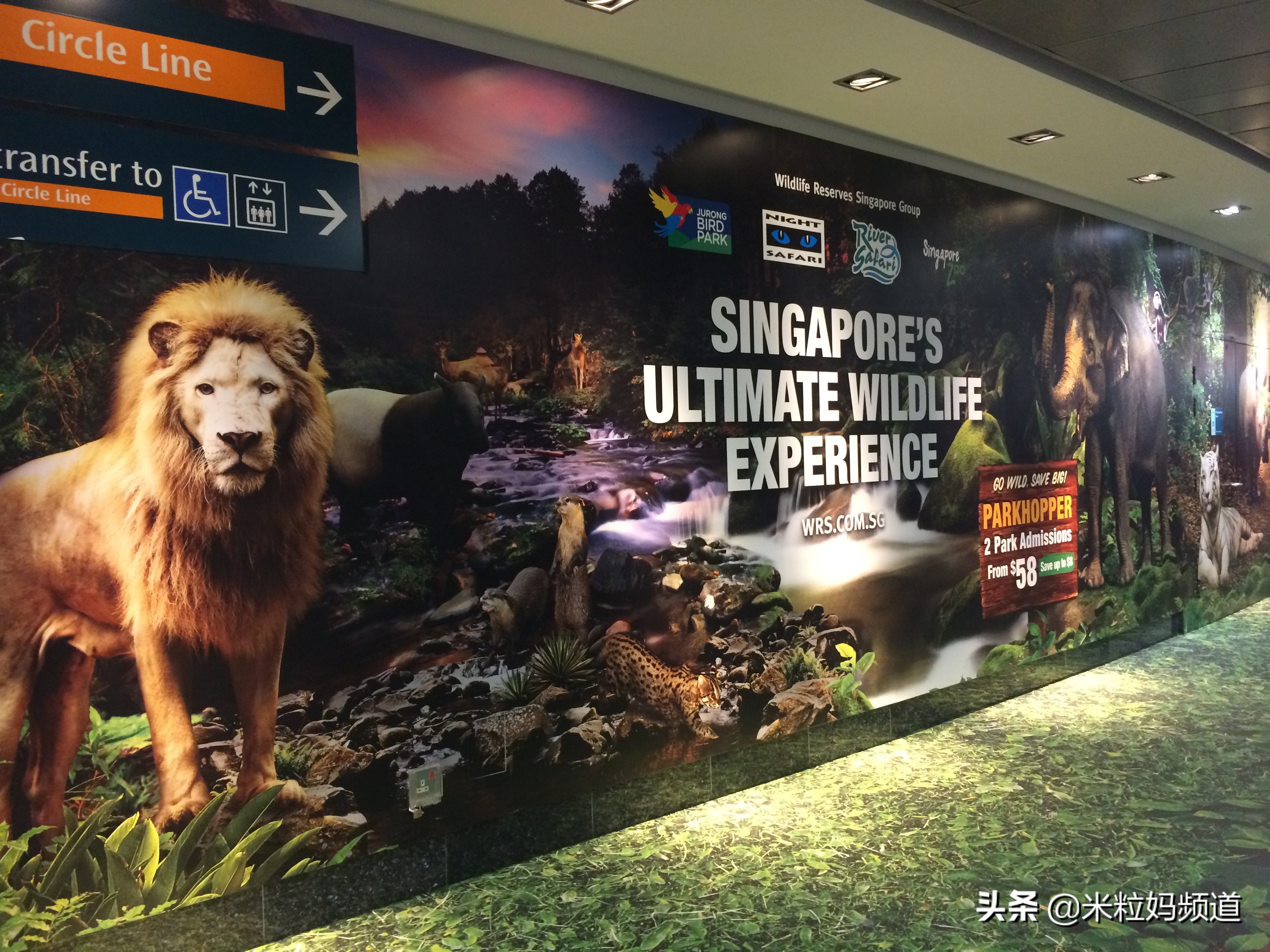 新加坡遛娃旅游攻略,新加坡亲子游遛娃神器