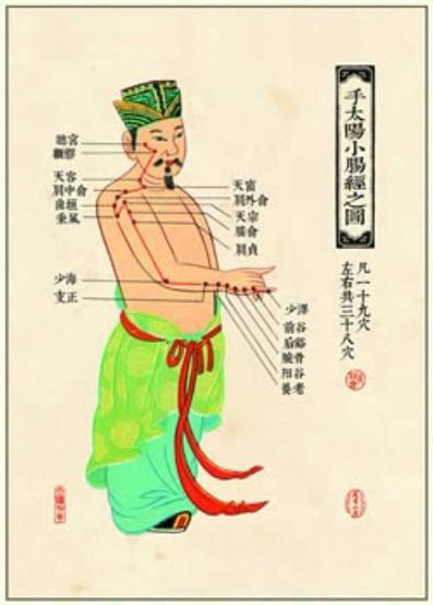 经络穴位记忆法视频,经络穴位在治疗过程的记忆和运用