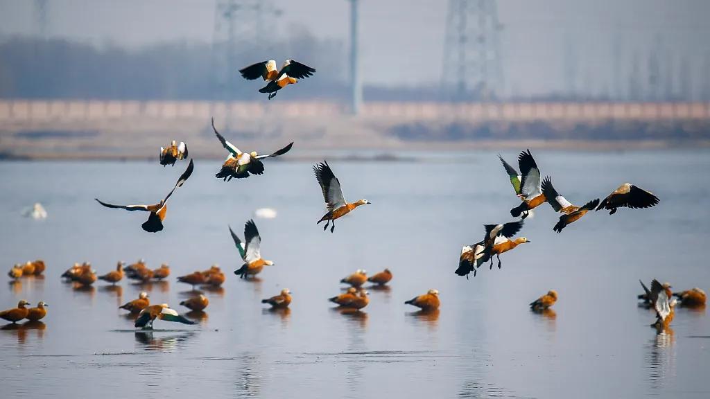 图观天下图片,图观天下图