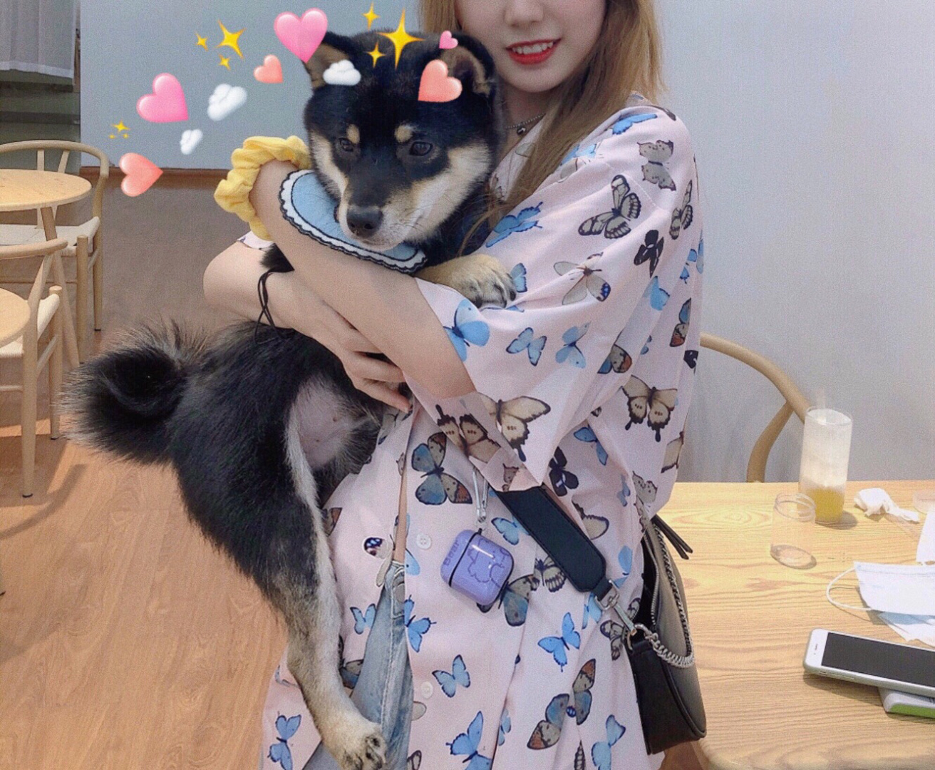 南通柴犬犬舍,上海狗咖馆推荐柴犬