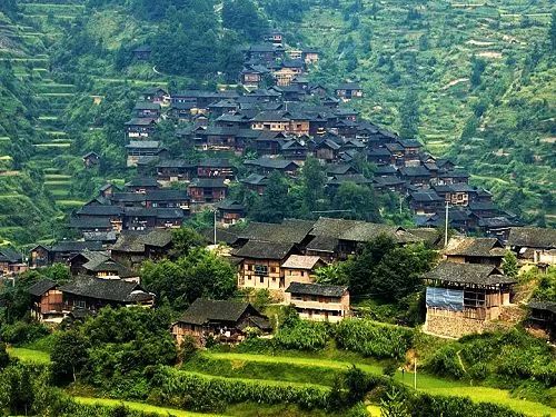 上海特产必买清单一览表,广东各地特产一览表