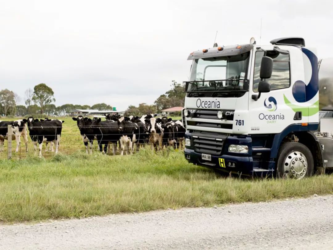 伊利新西兰牛奶,伊利未来牛奶谷基地