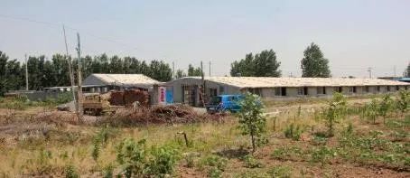 陈安之成*学功**培训涉诈骗