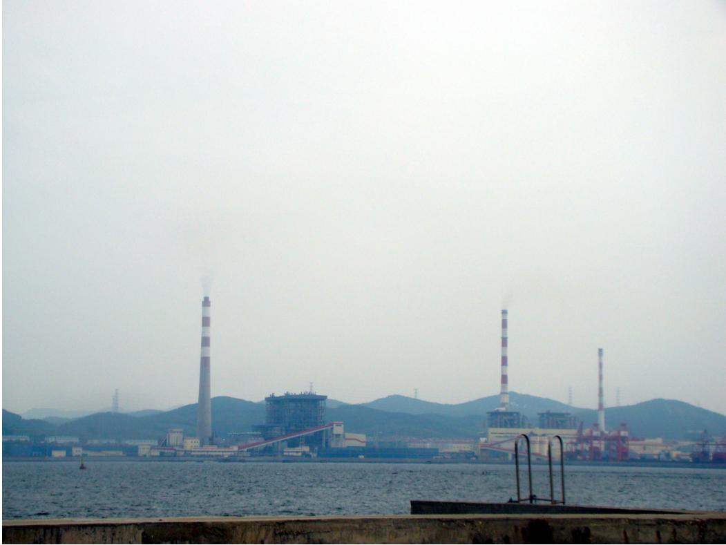 顾厂长所有视频,顾厂长讲话视频