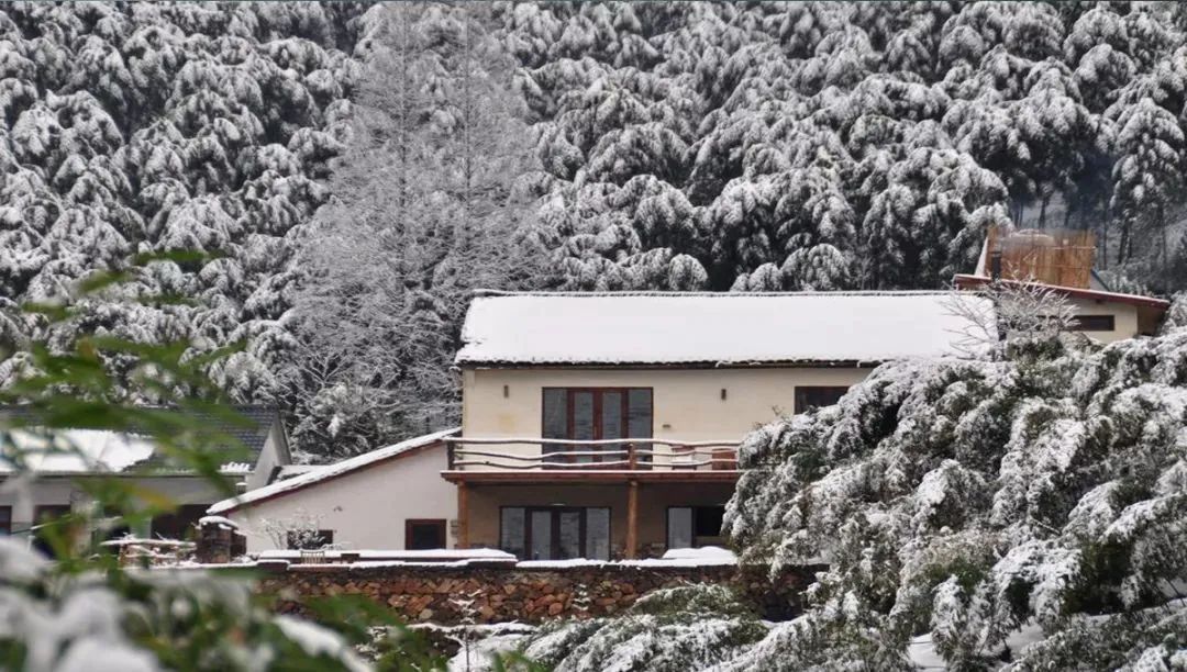 乡村振兴莫干山民宿,乡村文旅民宿打造