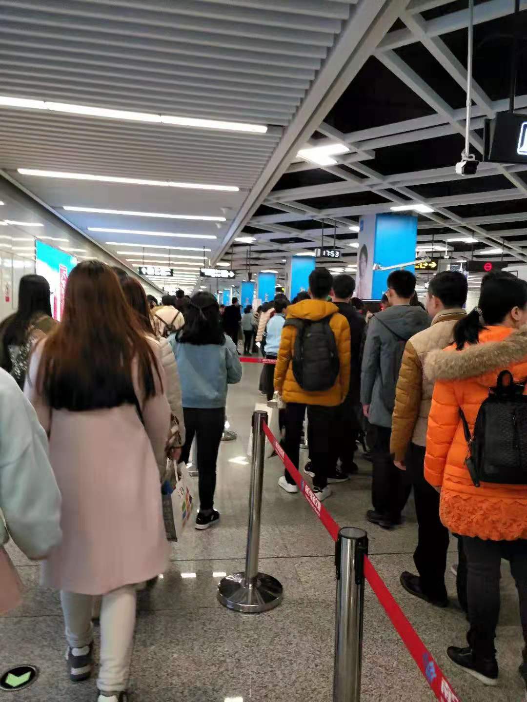 南宁大沙田白切鸭,广西南宁的白切鸭